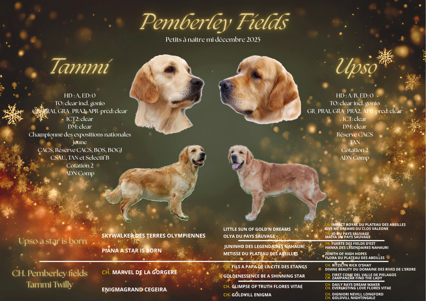 Portée prévue mi décembre 2025