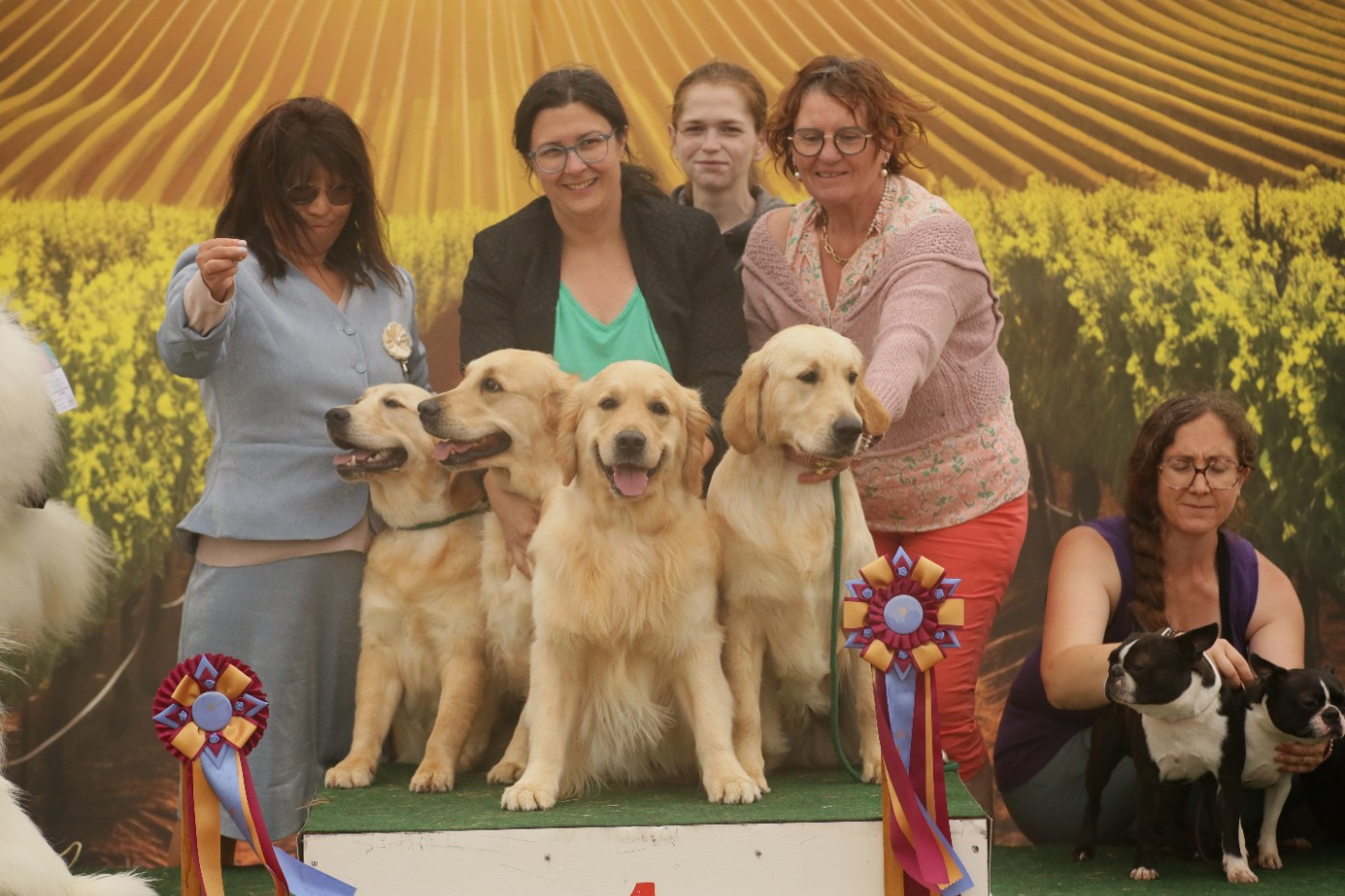 Meilleur lot d affixe Sigogne 2025